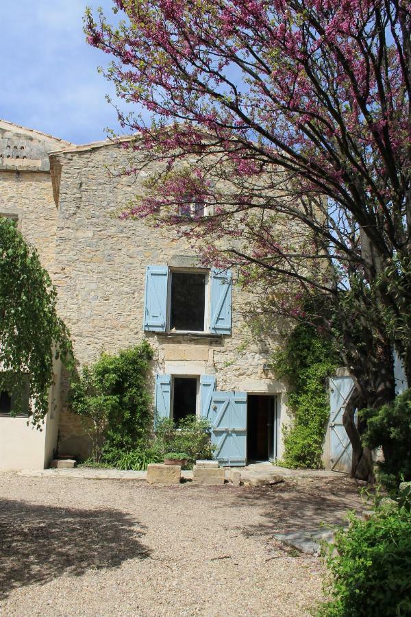 La Rose Bed & Breakfast Saint-Gervasy Exterior photo
